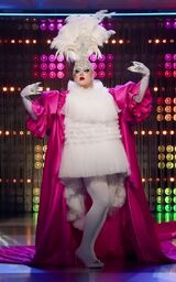 Eleganza Extravaganza Look