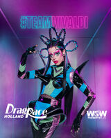 #TeamVivaldi Promo