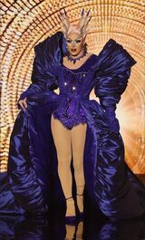 Grand Finale Eleganza Look