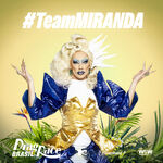 TeamMirandaDRBR1