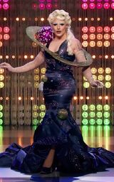 Eleganza Extravaganza Look