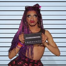 L.A.D.P. Mug Shot