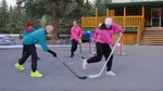 HockeySashGame