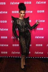 Premiere Look