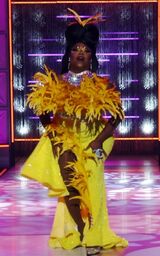 Mother Goose Look – Mary's Canary