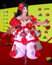 Alfombra Roja Look