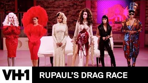 The Eliminated Queens Vote