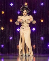 Coronation Eleganza Look