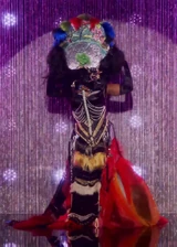 Masked for Masked Singer Look