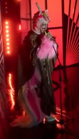 Stand-Up Look