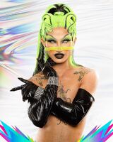Mug Promo