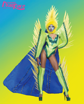 Promo Look