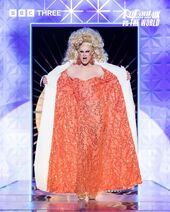 Ruveal Yourself Look (Reveal)
