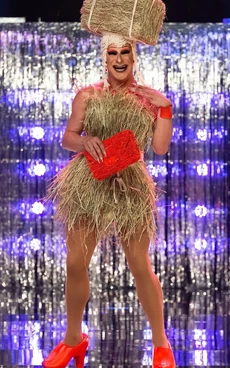 SederginneHollandLook