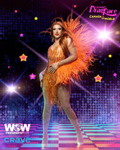 Promo Look