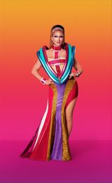 Promo Look