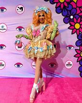 Alfombra Rosa / Guest Look