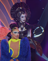 Reunion Look