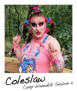 Polaroid-coleslaw