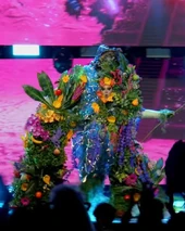 Look de 'Lo Que Más Amo de México' – Flora y fauna mexicanas