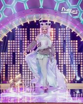 Signature Drag Look Look