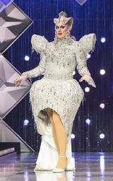 Coronation Eleganza Extravaganza Look
