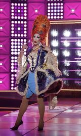 Fandango Look