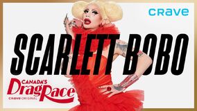 Promo Banner