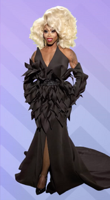 All Star Eleganza Look