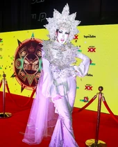 Look de la alfombra roja