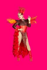 Promo Look