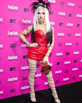 Premiere Look