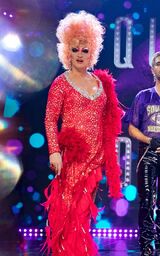 Guest Judge Look