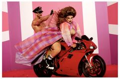 Windy Hog Photoshoot