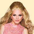 Derrick Barry, Shady Politics