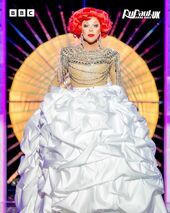 Grand Finale Eleganza Look