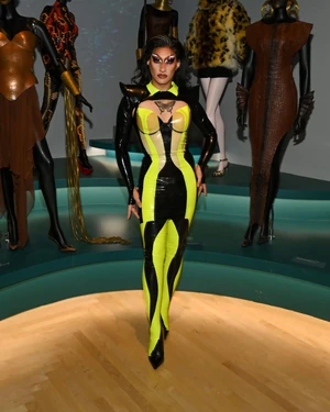 AnetraS15BrooklynMuseumLook