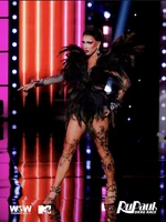 DiscordAddamsReclaimLook