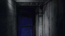 Entrance Look