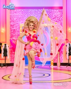 PinkChadoraEntranceLook