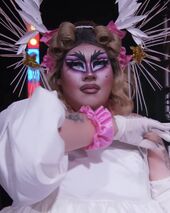 Auditions Look (Judge)