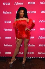 Premiere Look