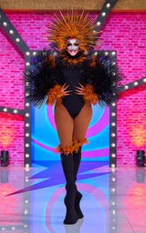 Entrance Look