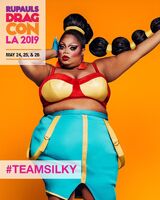 #TeamSilky Poster