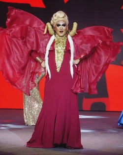 BEllaFinaleLook