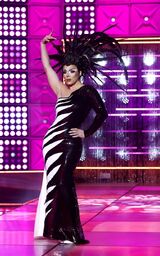 Everything Every-Cher All at Once Look