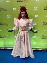 Premiere Look