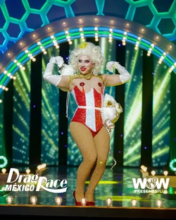 AvaPocketDRMX2FairFoodLook