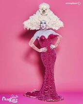 Mi Mejor, Mejor Look Drag Look
