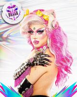 Mug Promo
